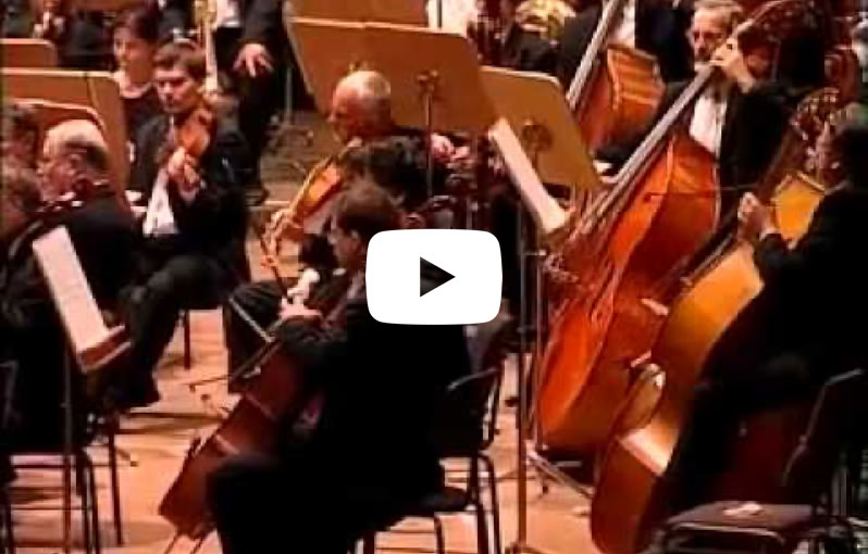 Video abspielen
